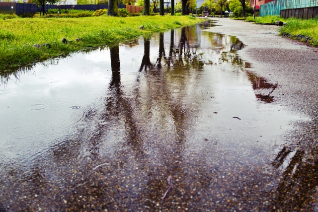 雨の日に増す下水臭！原因と実践的な対策法