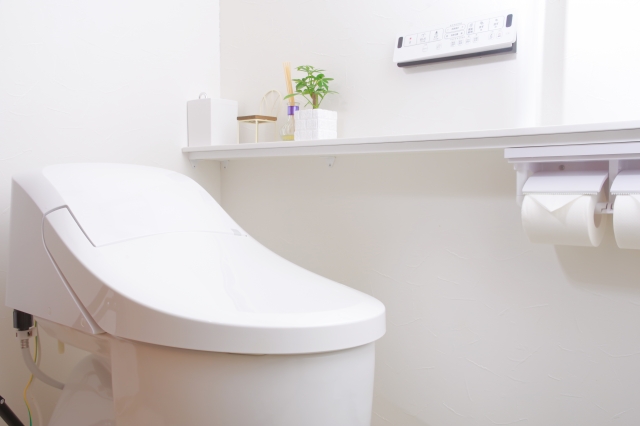 トイレが詰まる理由と仕組み｜自分で直す方法
