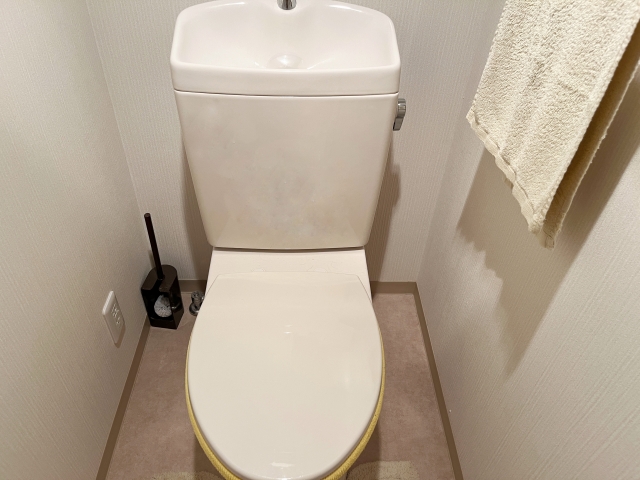 トイレつまりのタイプ別解消法！原因とすぐ使える対処法