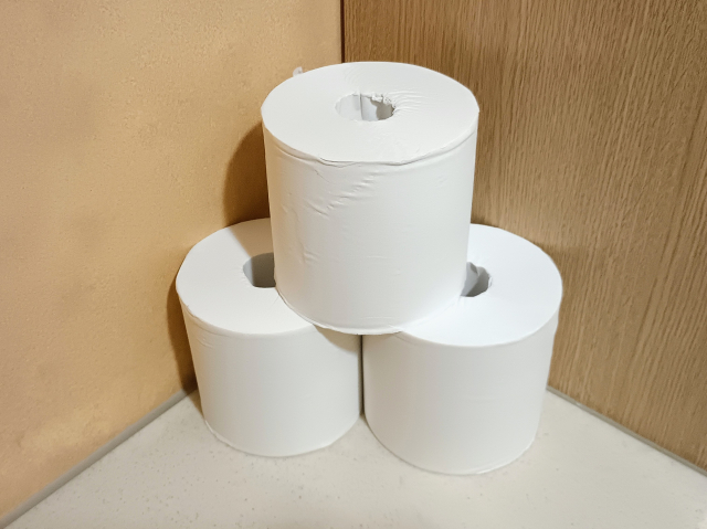 トイレットペーパーが流れない時の原因と自分でできる対処法